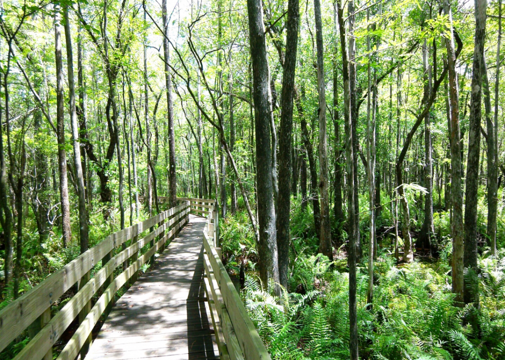 #3. Whiskey Creek, Florida